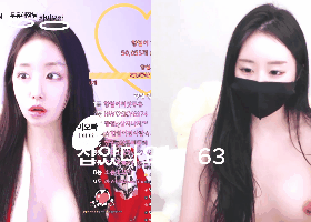 과거가 너무화려했던 여캠