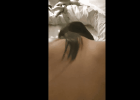 남친이 쓰레기라며 맞바람
